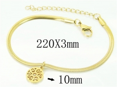 HY Wholesale 316L Stainless Steel Jewelry Bracelets-HY91B0285NA