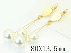 HY Wholesale Earrings 316L Stainless Steel Popular Jewelry Earrings-HY60E1205JB