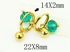 HY Wholesale Earrings 316L Stainless Steel Popular Jewelry Earrings-HY06E0378NR