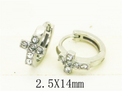 HY Wholesale Earrings 316L Stainless Steel Popular Jewelry Earrings-HY31E0153PT