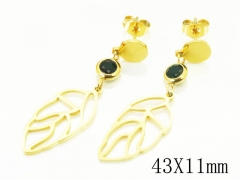 HY Wholesale Earrings 316L Stainless Steel Popular Jewelry Earrings-HY24E0082PW