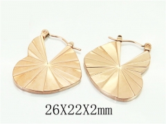 HY Wholesale Earrings 316L Stainless Steel Popular Jewelry Earrings-HY70E1316LT