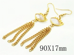 HY Wholesale Earrings 316L Stainless Steel Earrings-HY60E1048KLG