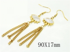 HY Wholesale Earrings 316L Stainless Steel Earrings-HY60E1055KLW