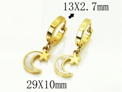 HY Wholesale Earrings 316L Stainless Steel Popular Jewelry Earrings-HY60E1369JLB