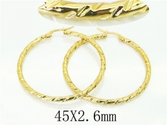 HY Wholesale Earrings 316L Stainless Steel Popular Jewelry Earrings-HY60E1485ILF