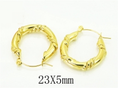 HY Wholesale Earrings 316L Stainless Steel Popular Jewelry Earrings-HY05E2112HHL