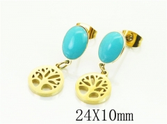 HY Wholesale Earrings 316L Stainless Steel Popular Jewelry Earrings-HY80E0776LL