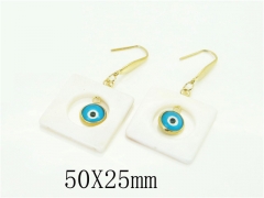 HY Wholesale Earrings 316L Stainless Steel Popular Jewelry Earrings-HY92E0154HJW