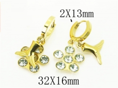 HY Wholesale Earrings 316L Stainless Steel Popular Jewelry Earrings-HY43E0576MQ