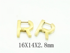 HY Wholesale Earrings 316L Stainless Steel Popular Jewelry Earrings-HY75E0081KW