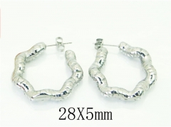 HY Wholesale Earrings 316L Stainless Steel Popular Jewelry Earrings-HY16E0193NQ