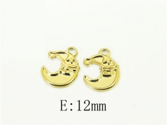 HY Wholesale Pendant Stainless Steel 316L Jewelry Fitting-HY70A2213WHO