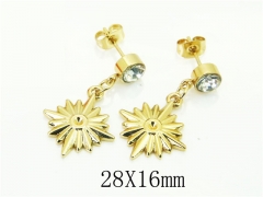 HY Wholesale Earrings 316L Stainless Steel Popular Jewelry Earrings-HY60E1659JE