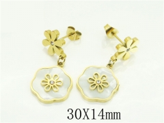 HY Wholesale Earrings 316L Stainless Steel Popular Jewelry Earrings-HY32E0466HAA