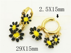 HY Wholesale Earrings 316L Stainless Steel Popular Jewelry Earrings-HY60E1694JL