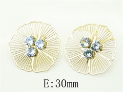 HY Wholesale Earrings 316L Stainless Steel Popular Jewelry Earrings-HY50E0028OR