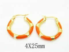 HY Wholesale Earrings 316L Stainless Steel Earrings Jewelry-HY60E1781KU