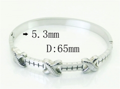 HY Wholesale Bangles Jewelry Stainless Steel 316L Popular Bangle-HY80B1824HHD