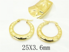 HY Wholesale Earrings 316L Stainless Steel Earrings Jewelry-HY60E1867VJL