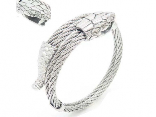 HY Wholesale Bracelet Stainless Steel 316L Fashion Bangle-HY0150D0042