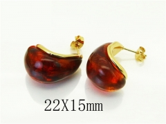 HY Wholesale Earrings 316L Stainless Steel Earrings Jewelry-HY80E1007OL