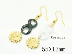 HY Wholesale Earrings 316L Stainless Steel Earrings Jewelry-HY92E0198HIE