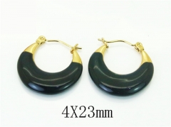 HY Wholesale Earrings 316L Stainless Steel Earrings Jewelry-HY80E1063NL