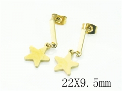 HY Wholesale Earrings 316L Stainless Steel Earrings Jewelry-HY80E1074HL