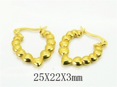 HY Wholesale Earrings 316L Stainless Steel Earrings Jewelry-HY06E0484PX