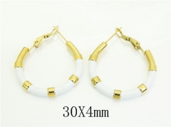 HY Wholesale Earrings 316L Stainless Steel Earrings Jewelry-HY25E0788HNW