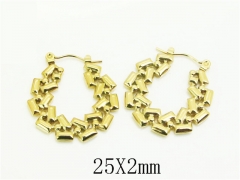 HY Wholesale Earrings 316L Stainless Steel Earrings Jewelry-HY30E1744ML