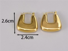 HY Wholesale Earrings 316L Stainless Steel Earrings Jewelry-HY0069E0148