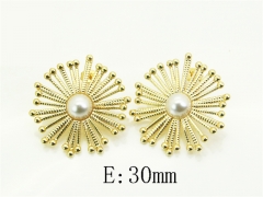 HY Wholesale Earrings 316L Stainless Steel Earrings Jewelry-HY80E1318MS