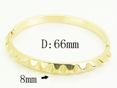 HY Wholesale Bangles Jewelry Stainless Steel 316L Popular Bangle-HY80B2070HIL