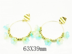 HY Wholesale Earrings 316L Stainless Steel Earrings Jewelry-HY92E0256HIQ