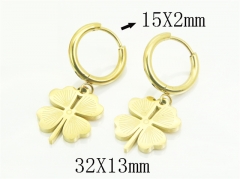 HY Wholesale Earrings 316L Stainless Steel Earrings Jewelry-HY94E0133CML