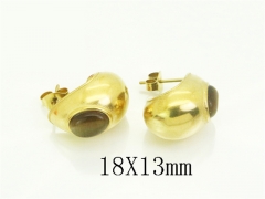 HY Wholesale Earrings 316L Stainless Steel Earrings Jewelry-HY94E0198NL