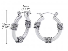 HY Wholesale Jewelry Earrings 316L Stainless Steel Earrings Jewelry-HY0067E0209