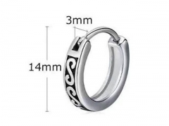 HY Wholesale Jewelry Earrings 316L Stainless Steel Earrings Jewelry-HY0067E0502