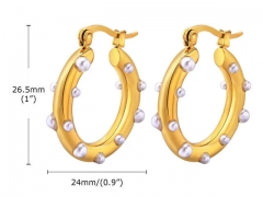 HY Wholesale Jewelry Earrings 316L Stainless Steel Earrings Jewelry-HY0067E0021