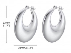 HY Wholesale Jewelry Earrings 316L Stainless Steel Earrings Jewelry-HY0067E0228