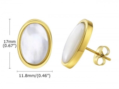 HY Wholesale Jewelry Earrings 316L Stainless Steel Earrings Jewelry-HY0067E0171