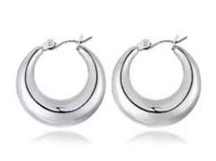 HY Wholesale Jewelry Earrings 316L Stainless Steel Earrings Jewelry-HY0067E0231