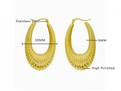 HY Wholesale Jewelry Earrings 316L Stainless Steel Earrings Jewelry-HY0076E0011