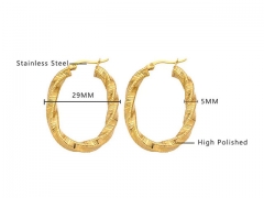 HY Wholesale Jewelry Earrings 316L Stainless Steel Earrings Jewelry-HY0076E0192