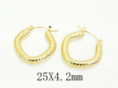 HY Wholesale Earrings 316L Stainless Steel Fashion Earrings Jewelry-HY09E0204QML