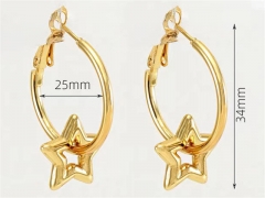 HY Wholesale Jewelry Earrings 316L Stainless Steel Earrings Jewelry-HY0082E0030