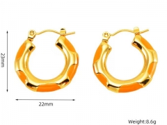 HY Wholesale Jewelry Earrings 316L Stainless Steel Earrings Jewelry-HY0082E0127