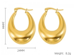 HY Wholesale Jewelry Earrings 316L Stainless Steel Earrings Jewelry-HY0082E0010